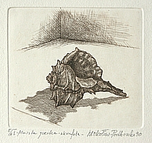 Muszla grecka (7,8x9 cm)