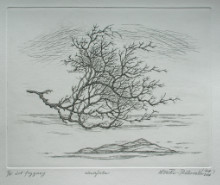 Maquis en vol (19,5x24,5 cm)