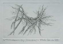 Evening dances in Greece  IV (12,5x19,5 cm)