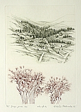 The country road through the wood