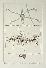 Dispersion des souvenirs