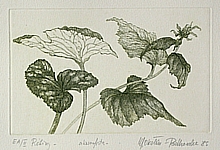 Rośliny (13x20,5cm)
