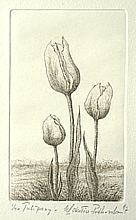 Tulipany (12,4x7,4 cm)
