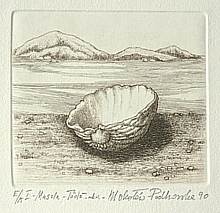 Coquille – bateau